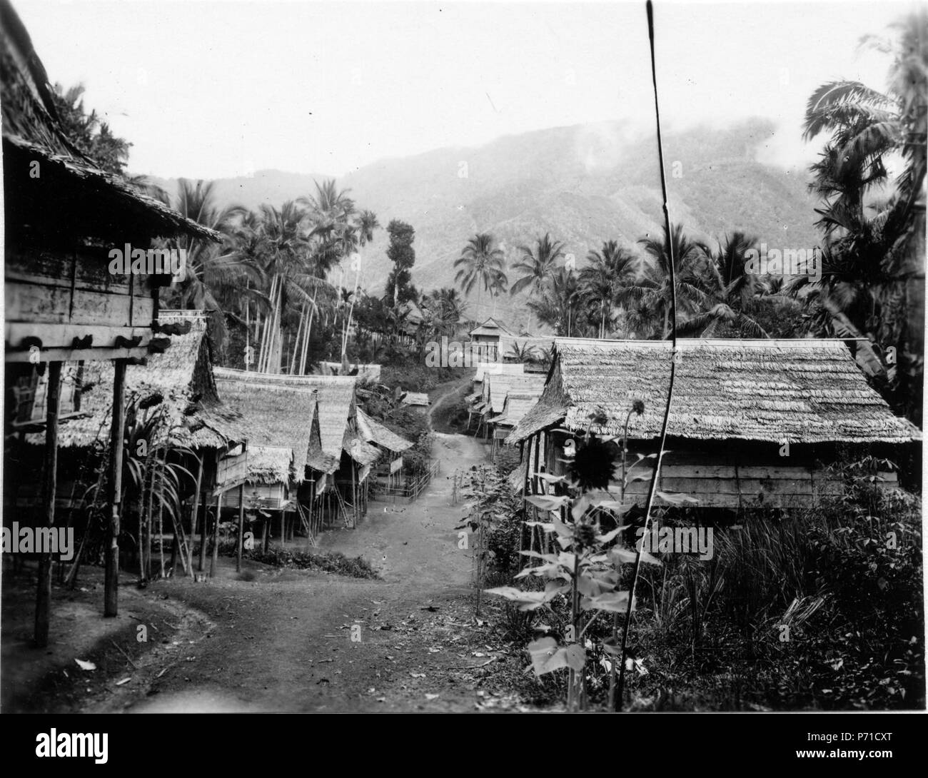 31 Huvudgatan i byn. Ho bakgrunden bergstoppen Lokait. Banggaai, Sulawesi, Kabupaten Banggai - SMVK - 010867 Foto Stock