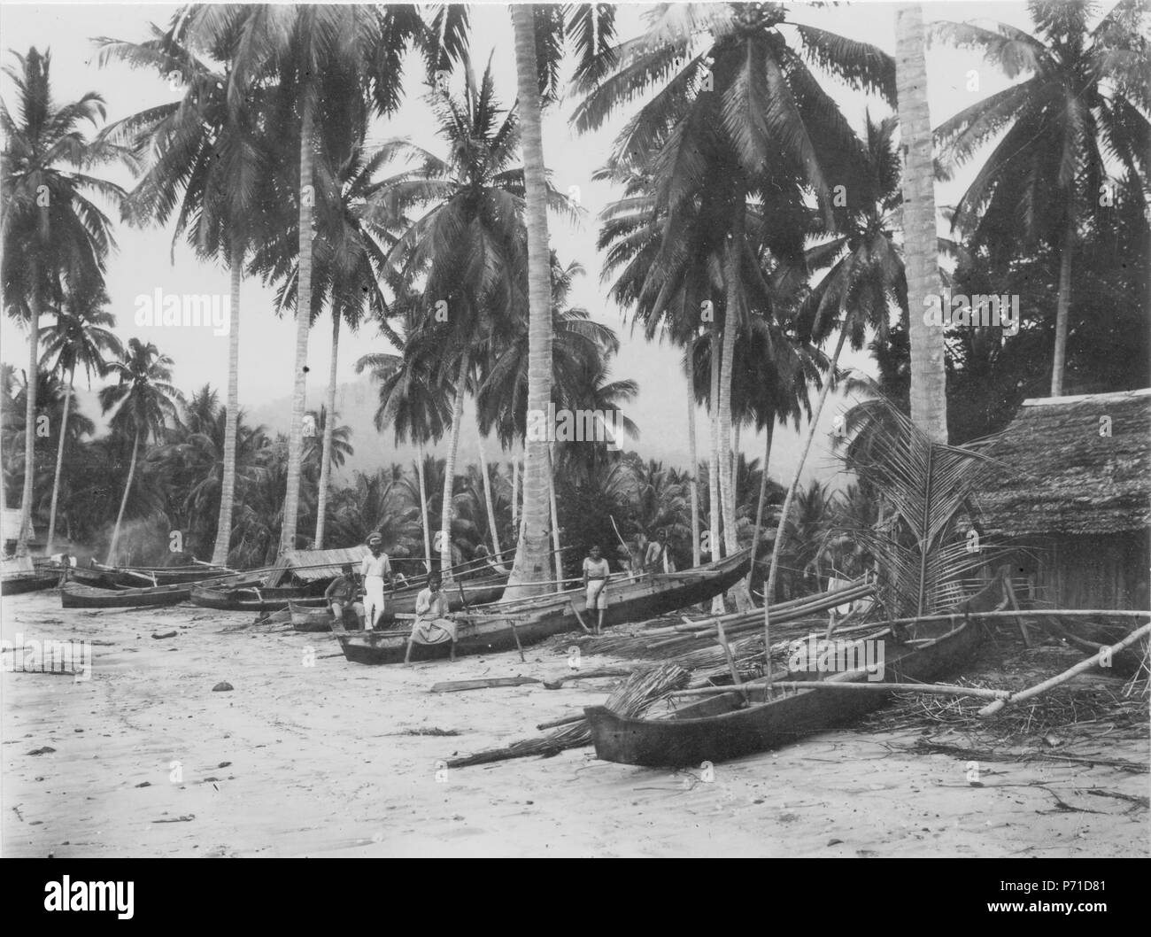 35 Kanoter vid stranden. Sulawesi. Indonesien - SMVK - 000294 Foto Stock