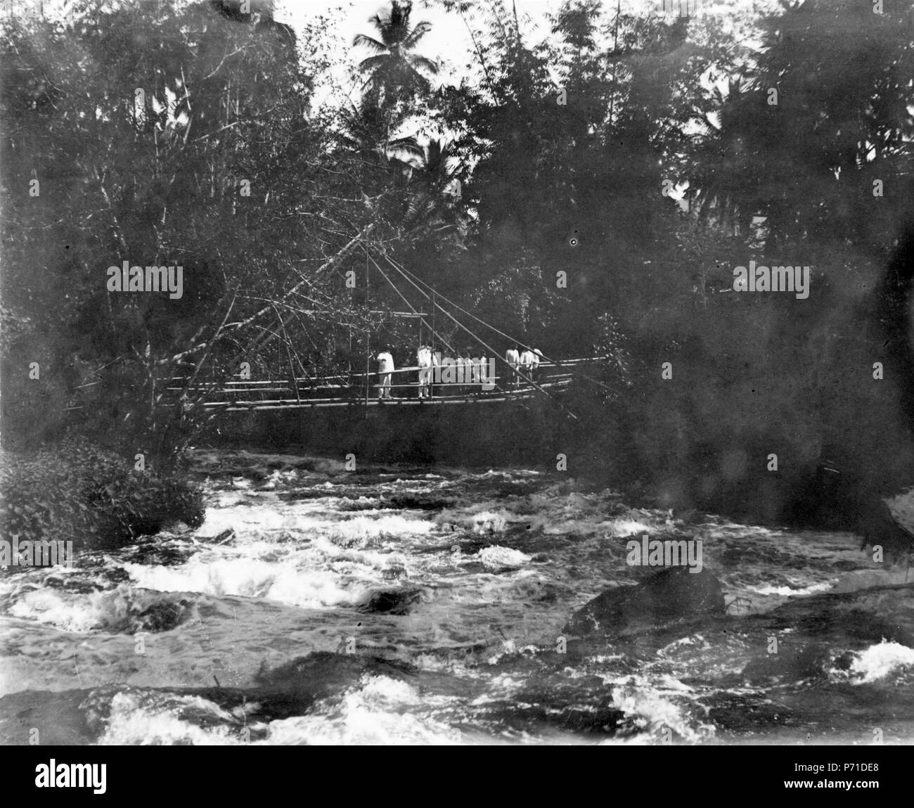 31 Hängbro bambustänger av. Nära stora landsvägen mellan Menado och Tondano. Sulawesi, Sulawesi Utara - SMVK - 010689 Foto Stock