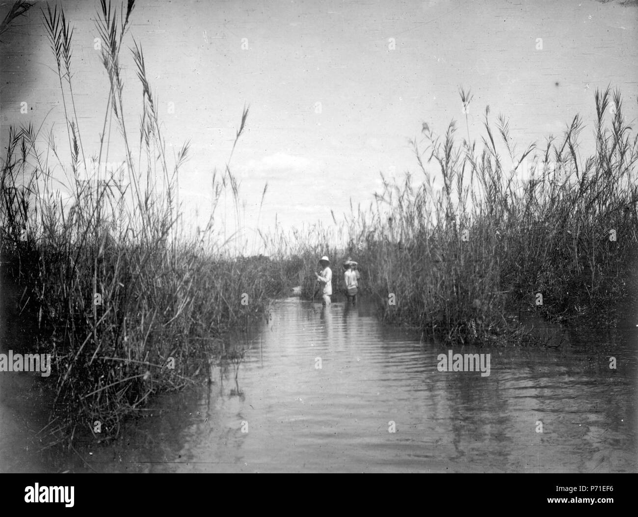 3 Allmän landsväg vid boutidens början. Madagascar, n.v - SMVK - 001753 Foto Stock