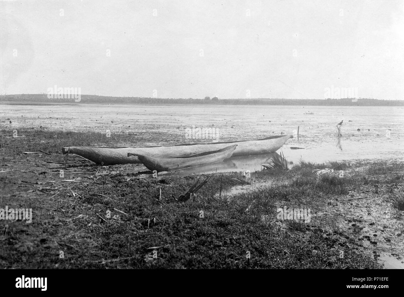 35 Kanoter av trädstammar urholkade. Se Kaudern Waler, På Madagascar, Sthlm 1913, bild 92 - SMVK - 001700 Foto Stock