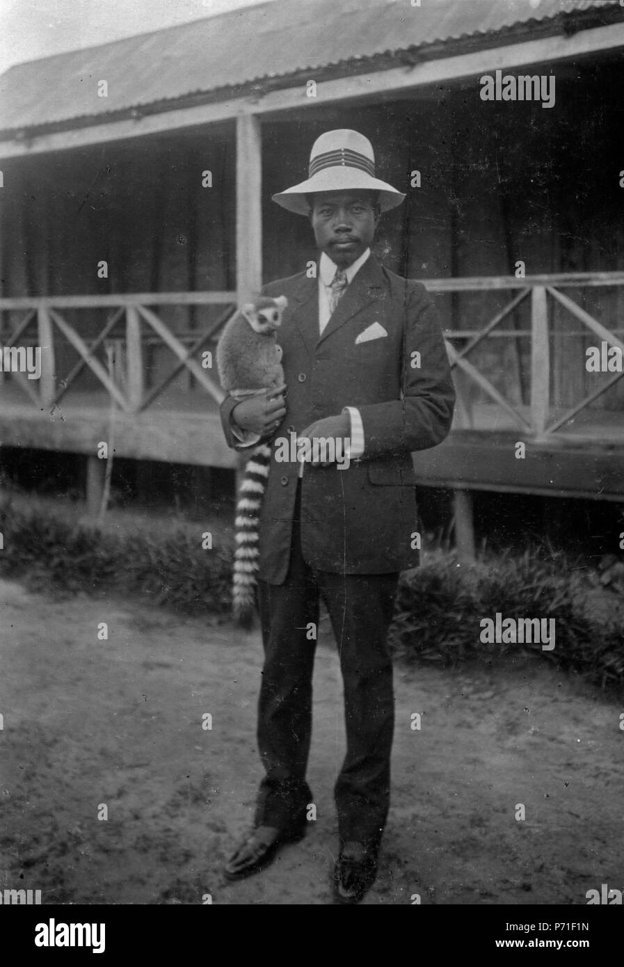 39 Läkaren hovastammen av lemure med. Madagascar - SMVK - 001727 Foto Stock