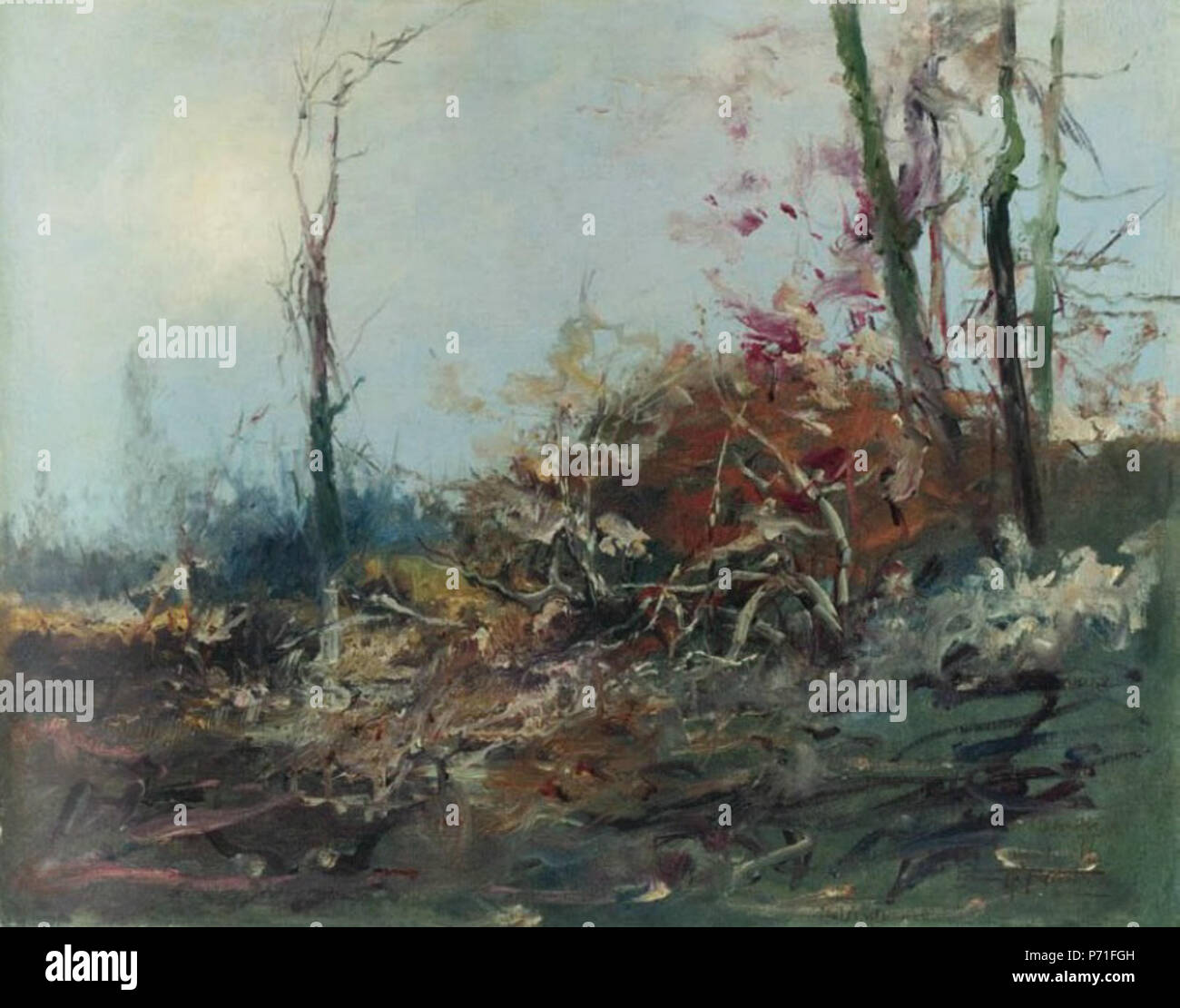 11 Antônio Parreiras - Queimada, c. 1930 Foto Stock