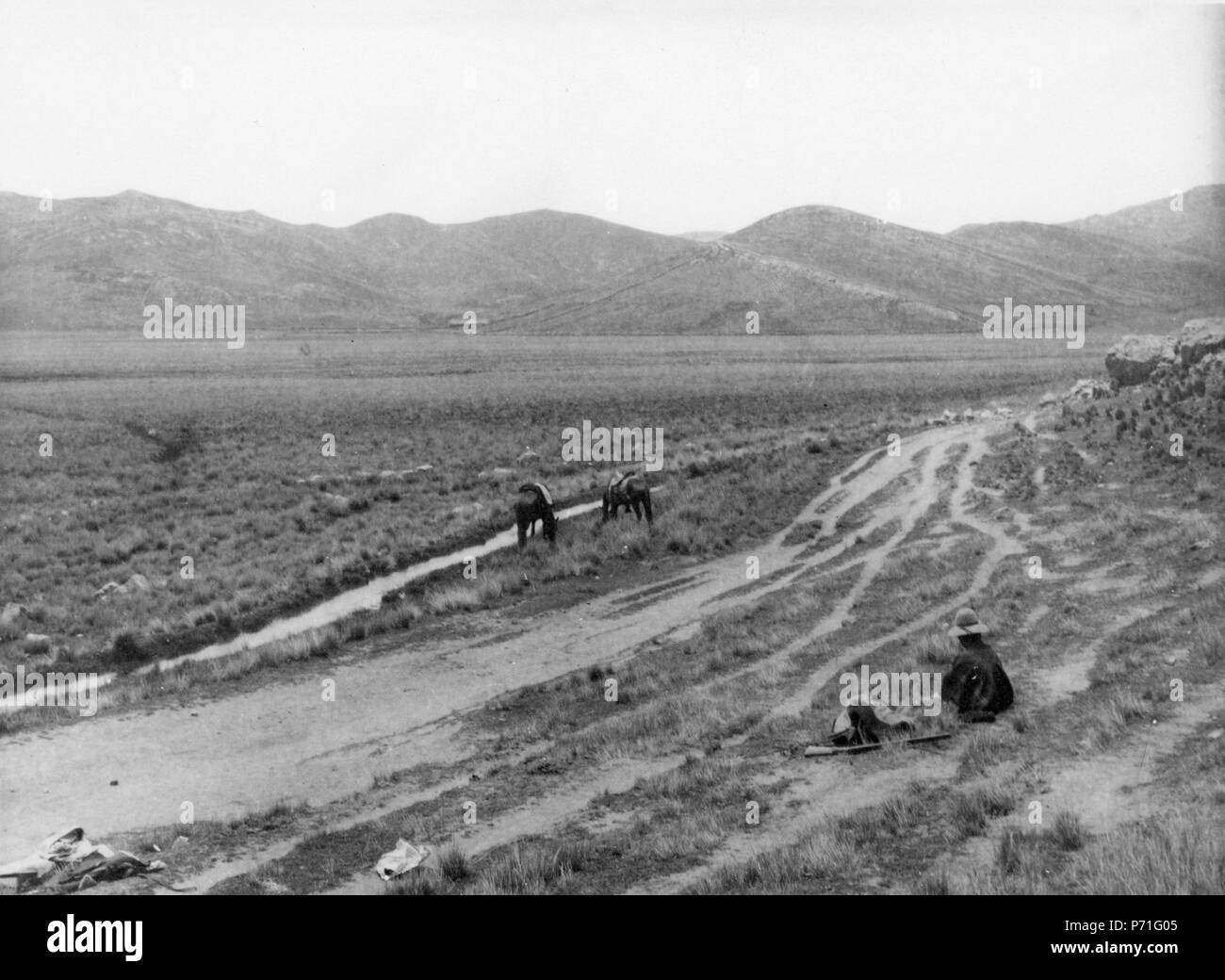 142 Högslätten nära Macusani. Macusani. Perù - SMVK - 002492 Foto Stock