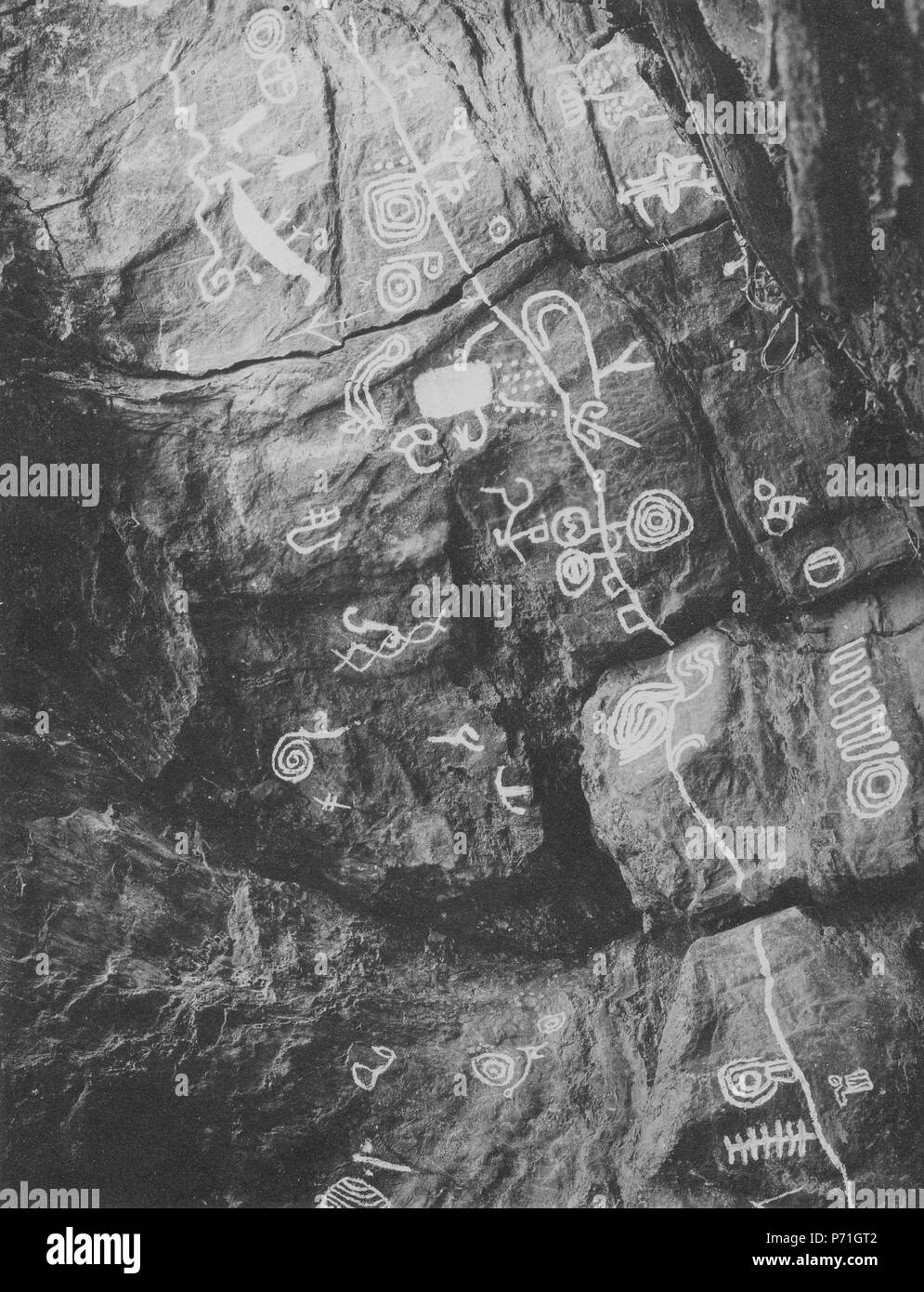 171 Nära Chiméo, mellan Pilcomayo och Tarija. Chiméo, Sydamerika. Bolivia - SMVK - 005784 Foto Stock