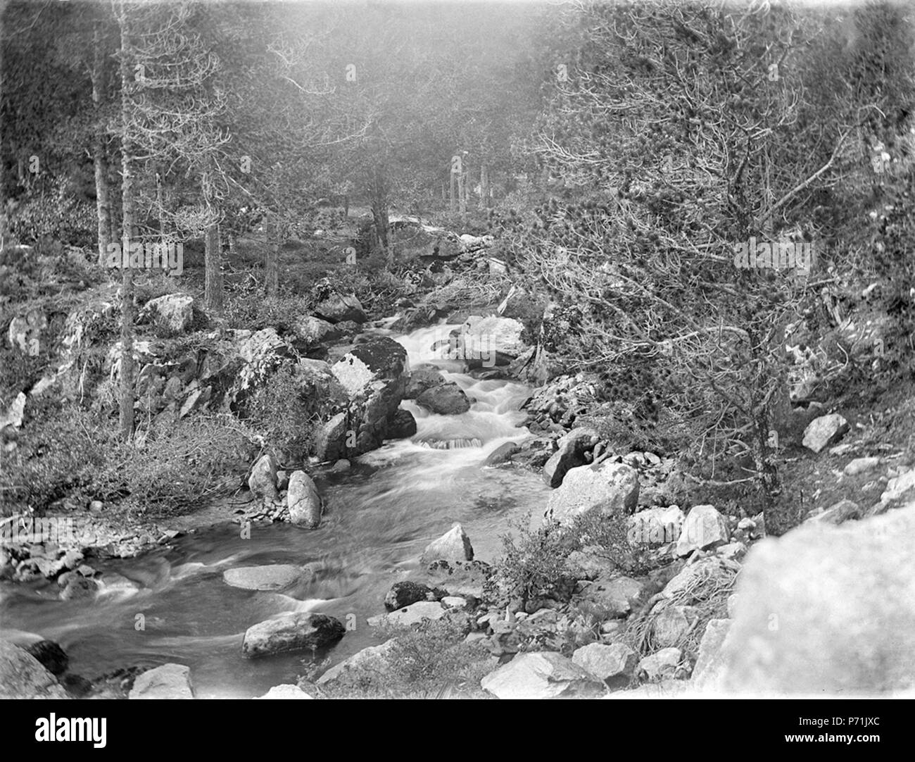 Inglese: Còpia moderna del originale negatiu de vidre 20 x 25 cm Llegat Dolors Moros, 2010 Museu d'Arte Jaume Morera, Lleida. 2755 . Il 20 febbraio 2013, 15:16:30 9 Baldomer Gili Roig. Rierol (Montseny), c. 1900 Foto Stock