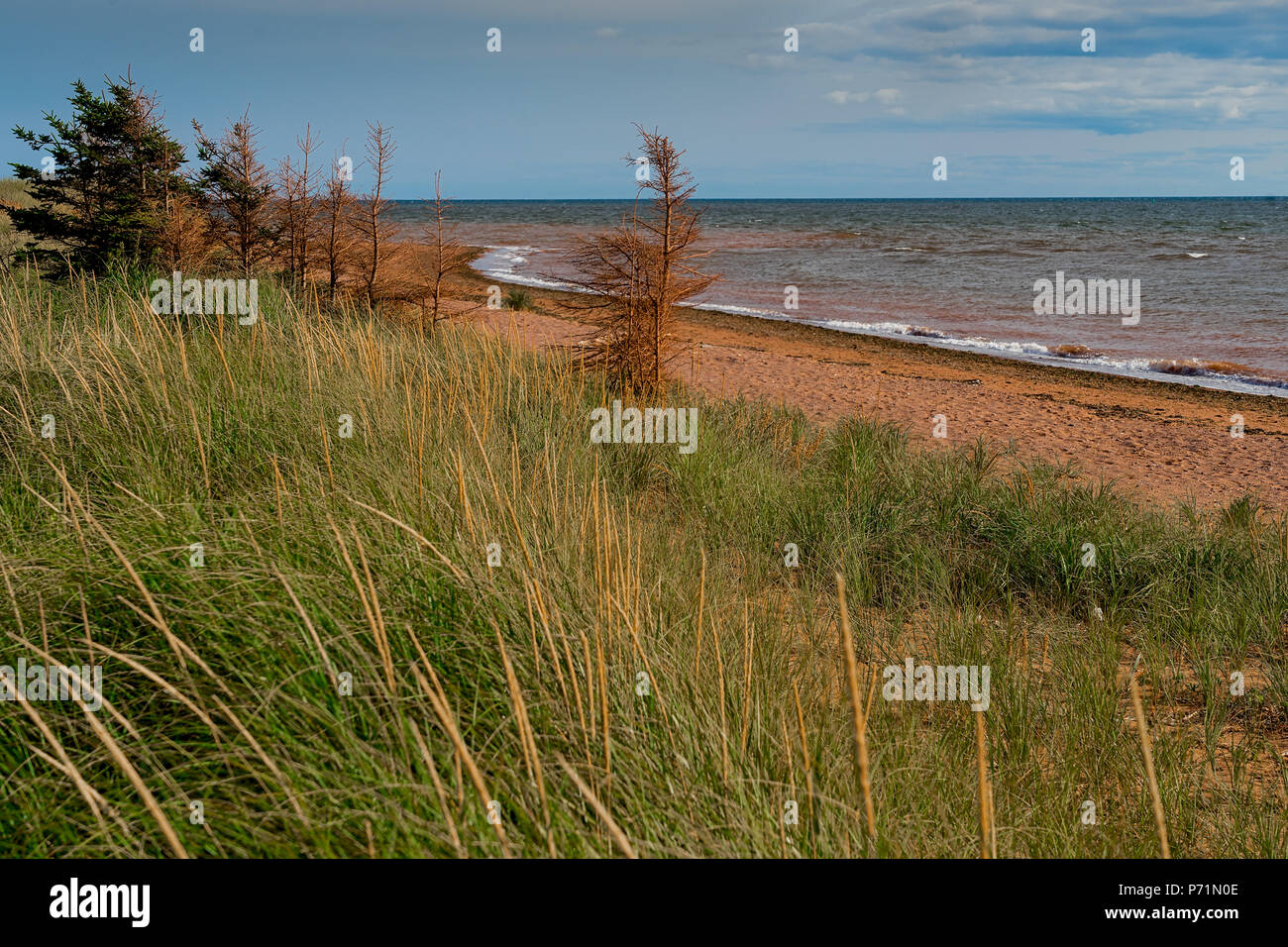 Abondoned Prince Edward Island Beach. Foto Stock