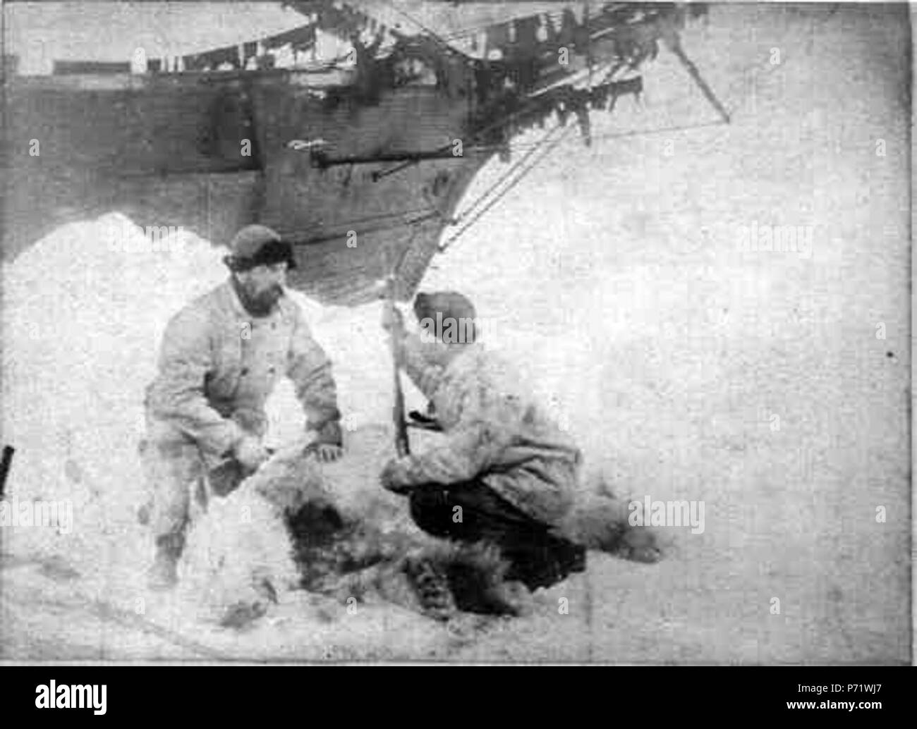 17 Нансен и Крефтинг Foto Stock