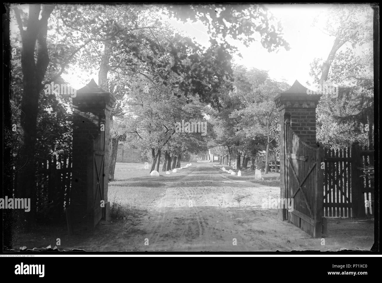 59 Narcyz Witczak-Witaczyński - Dwór ho park w Nowym Dworze (107-739-4) Foto Stock
