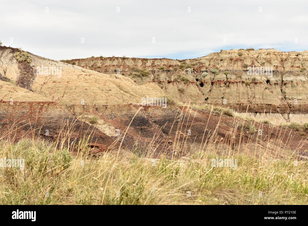 Southern Alberta Badlands (formazioni rocciose) Foto Stock