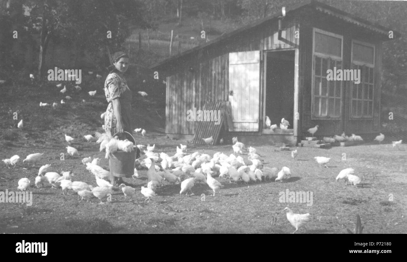 Slovenšina: Dekle pri perutnine krmljenju . 29 Novembre 1917 12 Dekle pri perutnine krmljenju Foto Stock