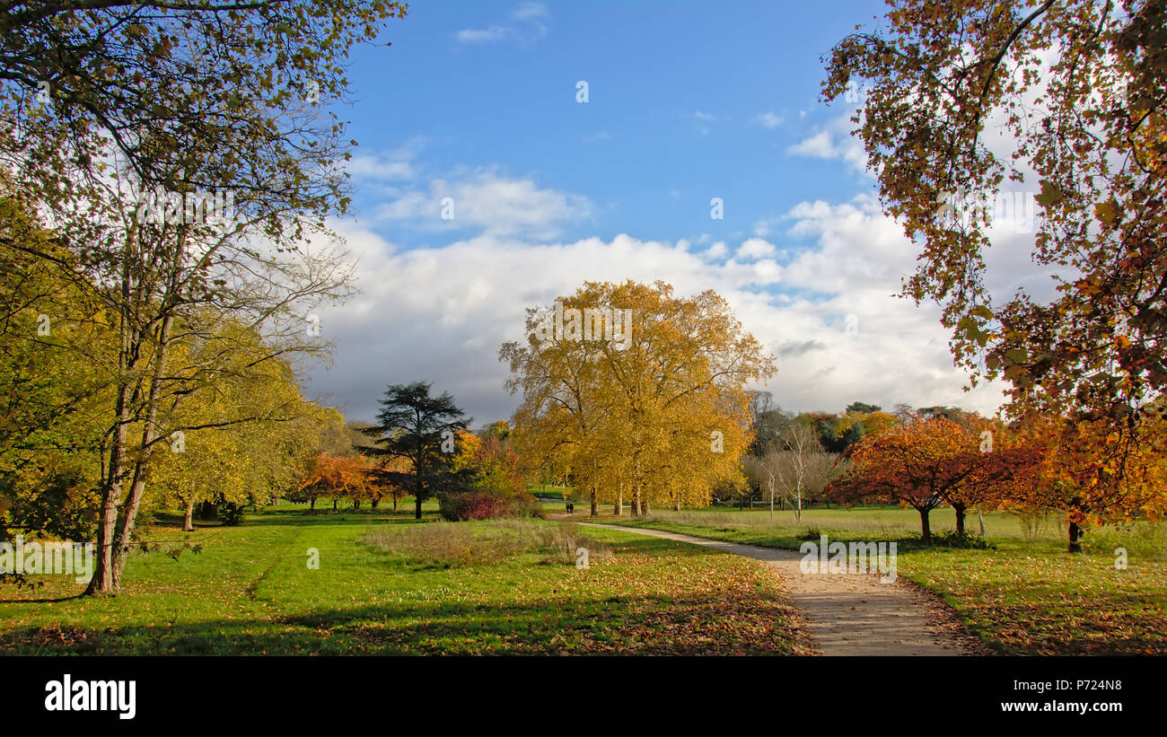 In autunno gli alberi in un prato in "Bois de Boulogne' City Park in una giornata di sole con cielo blu a Parigi, Francia Foto Stock