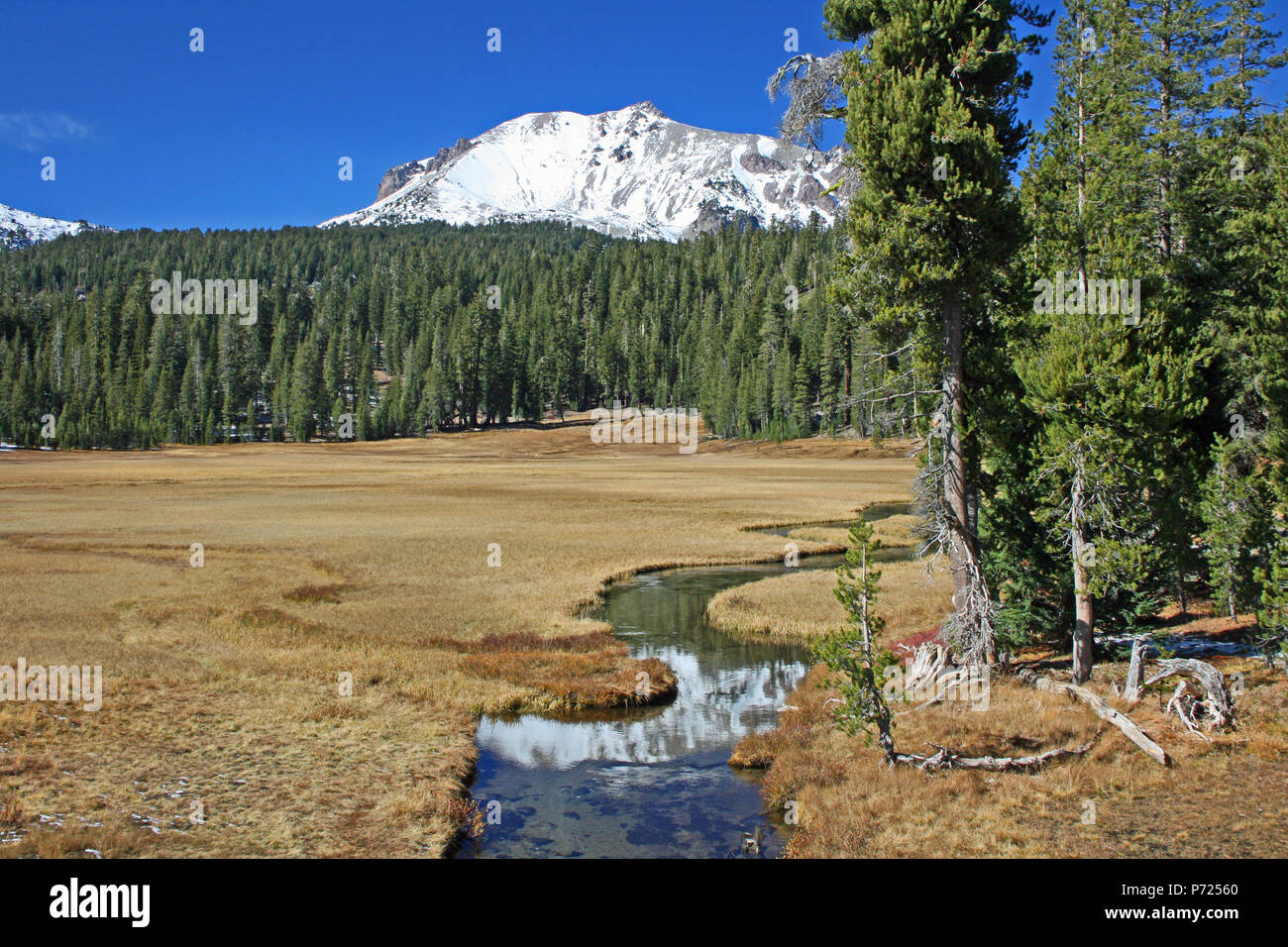 Lassen Peak e la sua riflessione in Kings Creek, California Foto Stock