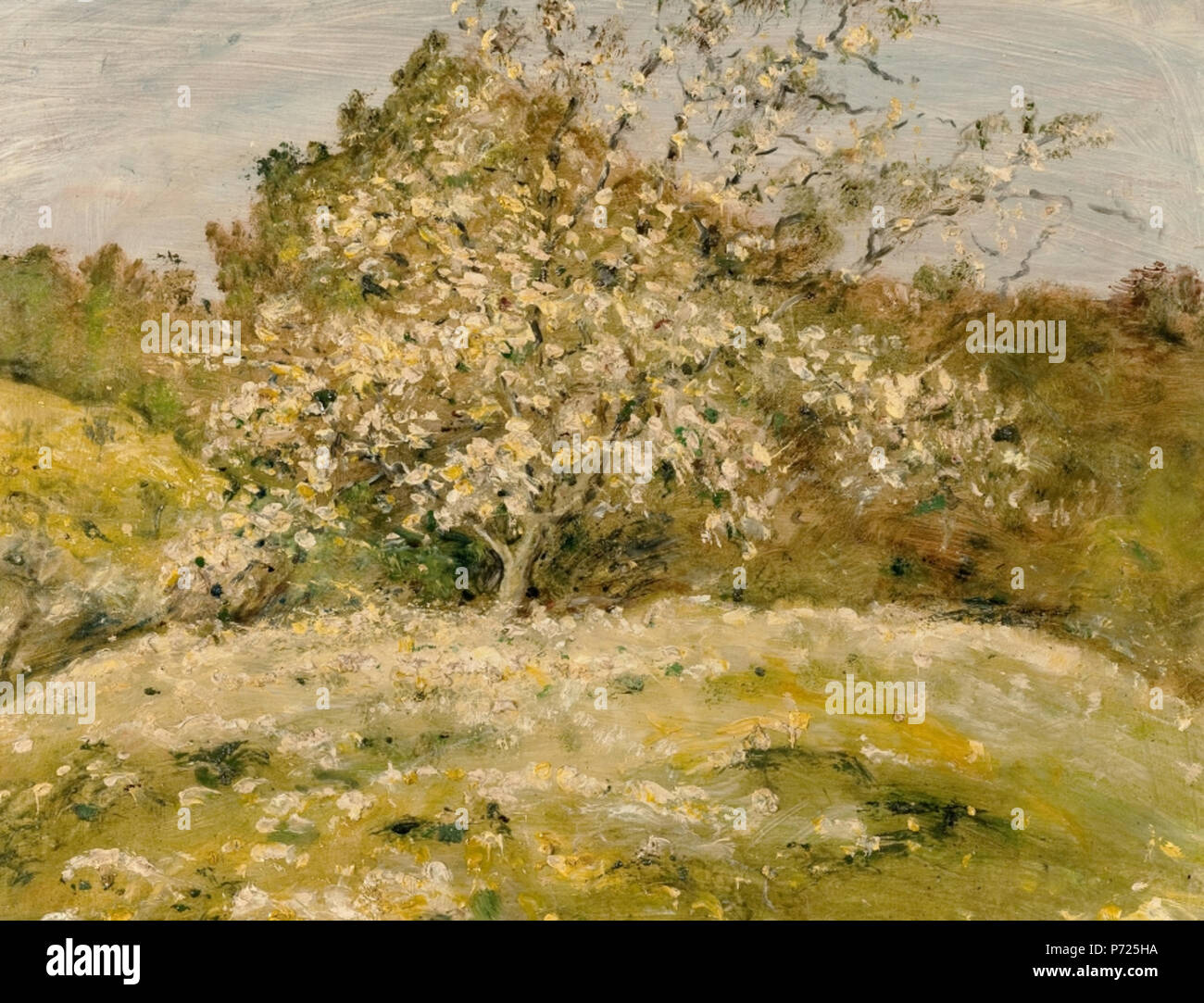 . Sconosciuto Sconosciuto data 52 Sophie Schneider 3 Foto Stock