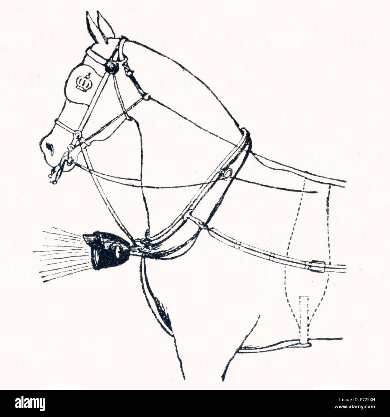 . Fig. 44. Elektrische Kammdeckel-Laterne . Deutsch: Elektrische Wagenlampen zur Anbringung direkt am Pferdekopf. Die Lampen werden gespeist von einem Akkumulator. . 1898 37 Cavallo 2 FARO Foto Stock