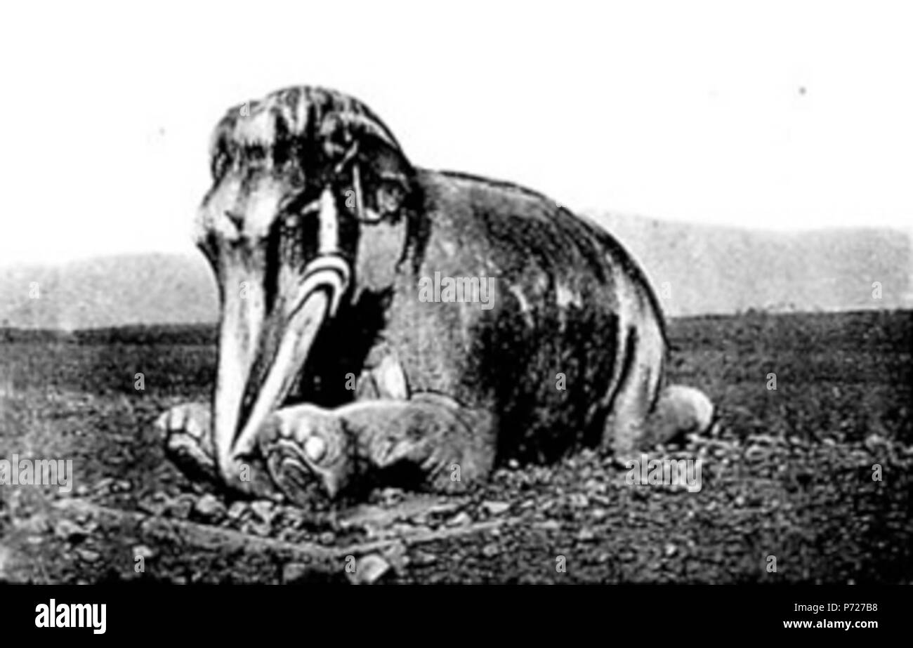 34 Die "Geisterallée 5 Foto Stock