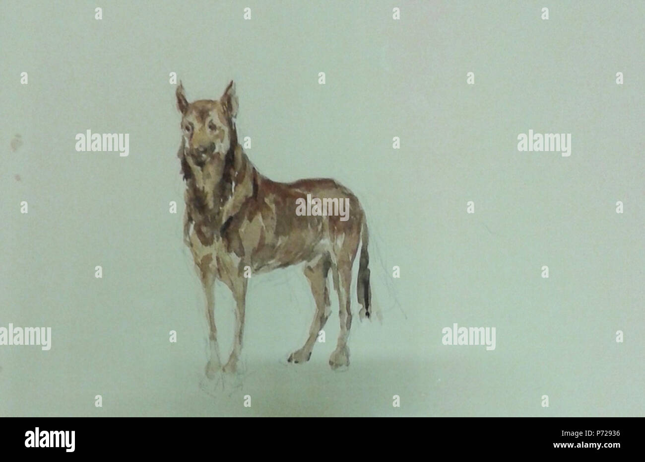 . Studio di un animale [cane] dal 1920 fino al 1930 139 Henrique Bernardelli - Estudo de animale (Cachorro) Foto Stock