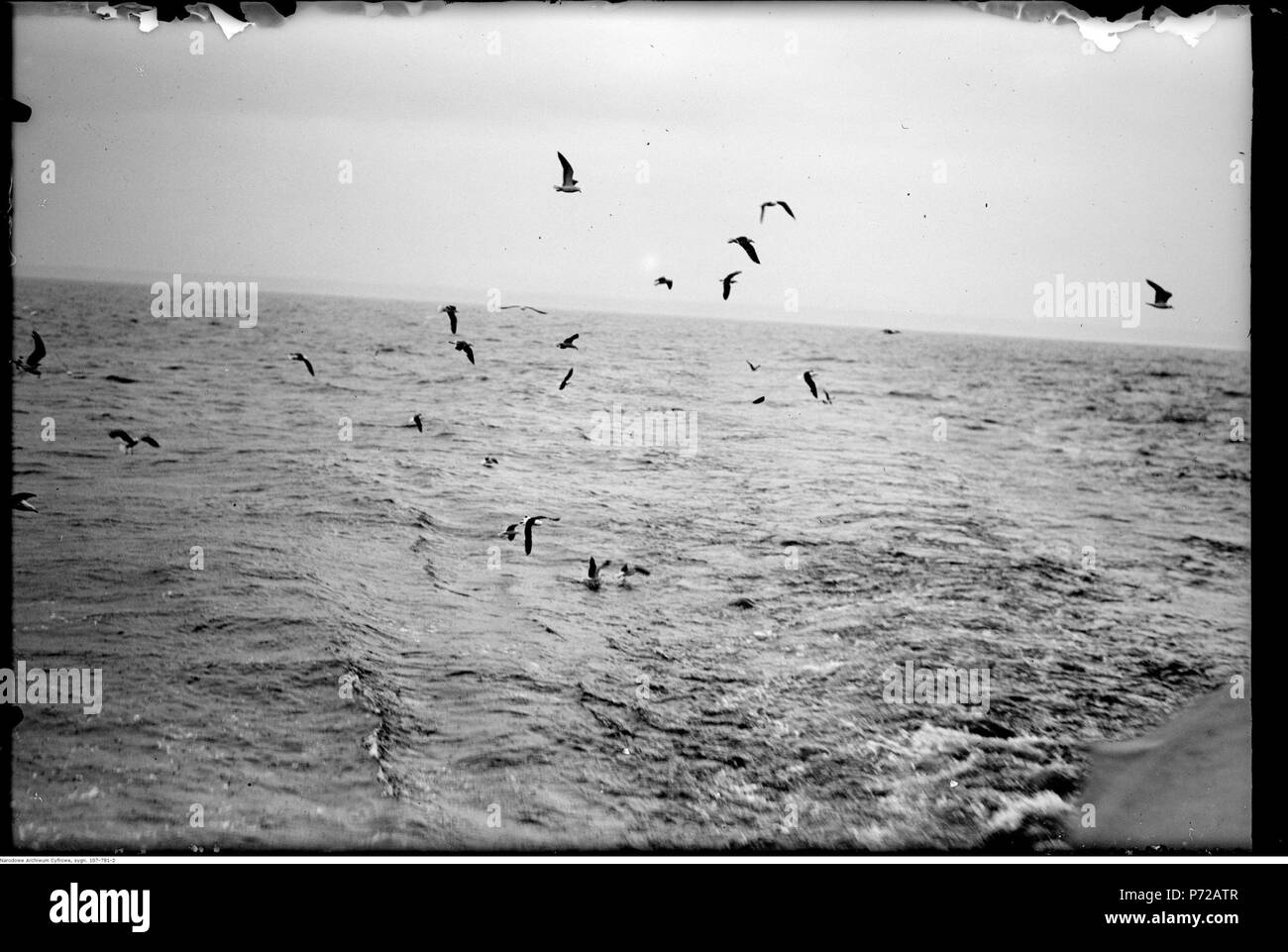 73 Narcyz Witczak-Witaczyński - Wyjazd do Gdyni na pogrzeb gen. Gustawa Orlicz-Dreszera (107-781-2) Foto Stock