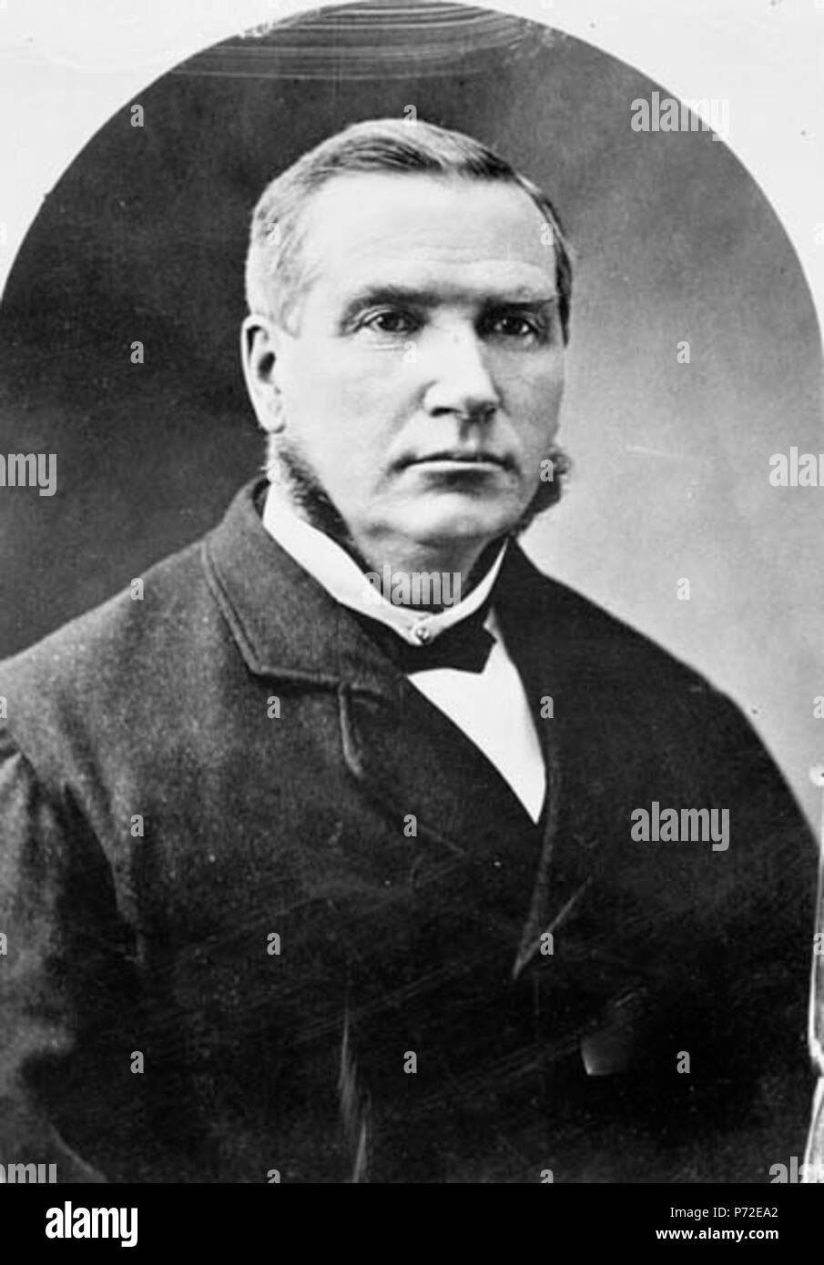 Lewis Ross, p.f. (Durham East) 1825-1882 . Febbraio 1875 13 Lewis Ross Foto Stock