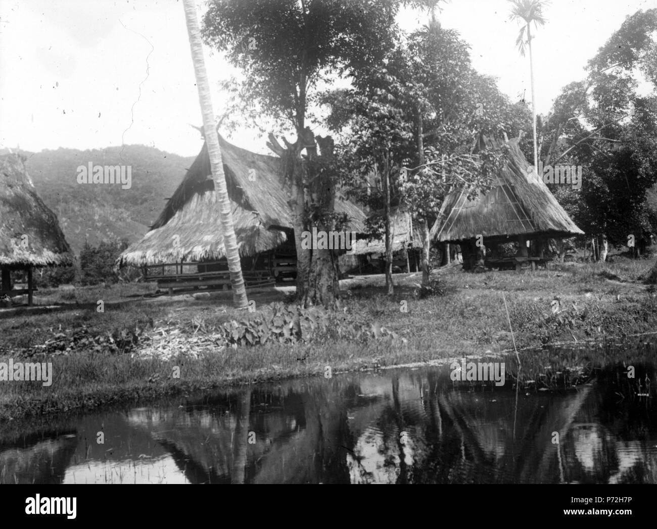 7 Central-Celebes. Hus vid kanten sawahn av (mal. = risfält) - SMVK - 1712 d Foto Stock