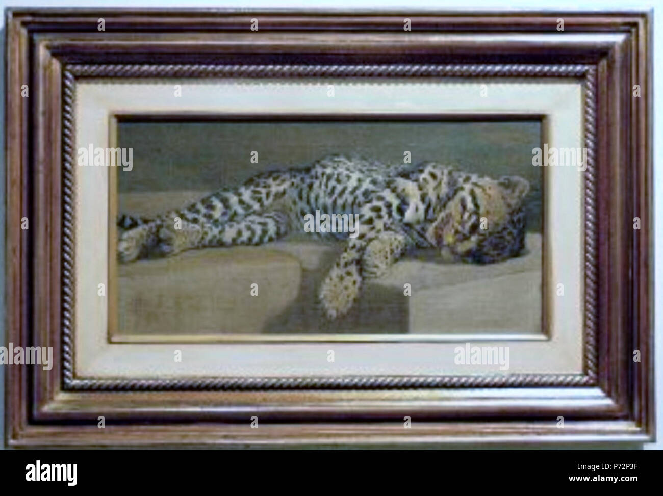 . Ocelote 1898 47 Span, Emil - Ocelote -1898 oleo 27x53 F2 Foto Stock