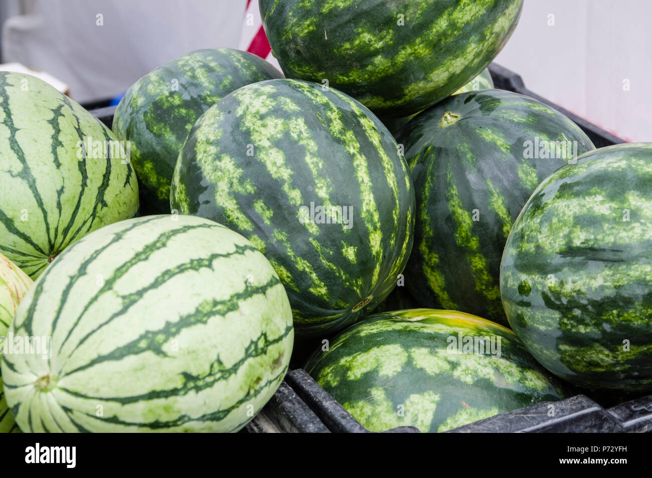 Angurie in esposizione al mercato di fattoria in cassonetti Foto Stock