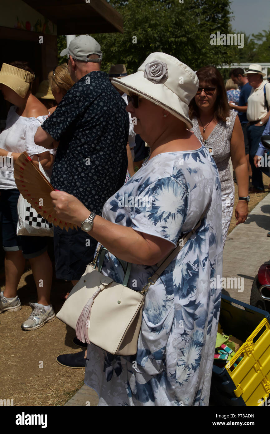 East Molesey,UK,4 Luglio 2018,RHS Hampton Court Palace Flower Show che corre fino al 8 luglio 2018 è la più grande fiera dei fiori nel mondo che coprono oltre 34 acri con il pezzo centrale essendo la lunga passeggiata. Ci sono vari giardini per ammirare e raccogliere idee da lungo con impianti e bancarelle di fiori e di tutti i tipi di funzioni di giardino. Credito Larby Keith/Alamy Live News Foto Stock