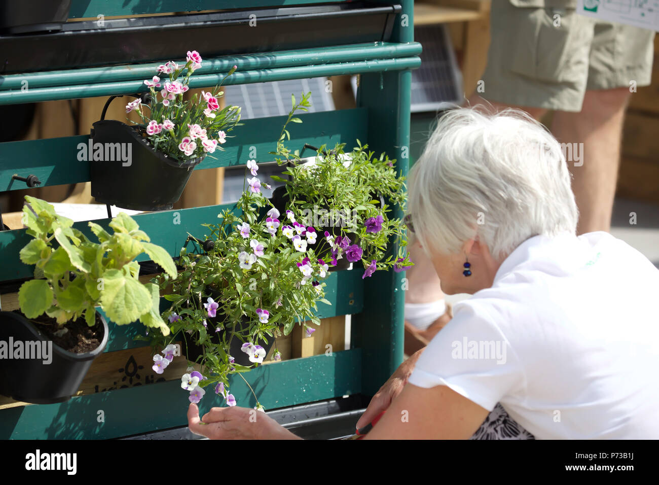 East Molesey,UK,4 Luglio 2018,RHS Hampton Court Palace Flower Show che corre fino al 8 luglio 2018 è la più grande fiera dei fiori nel mondo che coprono oltre 34 acri con il pezzo centrale essendo la lunga passeggiata. Ci sono vari giardini per ammirare e raccogliere idee da lungo con impianti e bancarelle di fiori e di tutti i tipi di funzioni di giardino. Credito Larby Keith/Alamy Live News Foto Stock