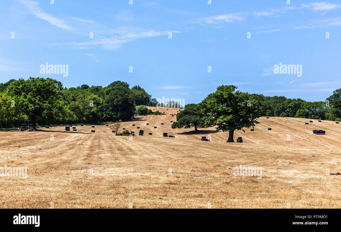 Un campo agricolo dopo il raccolto, Middlesex, Inghilterra, Regno Unito. Foto Stock