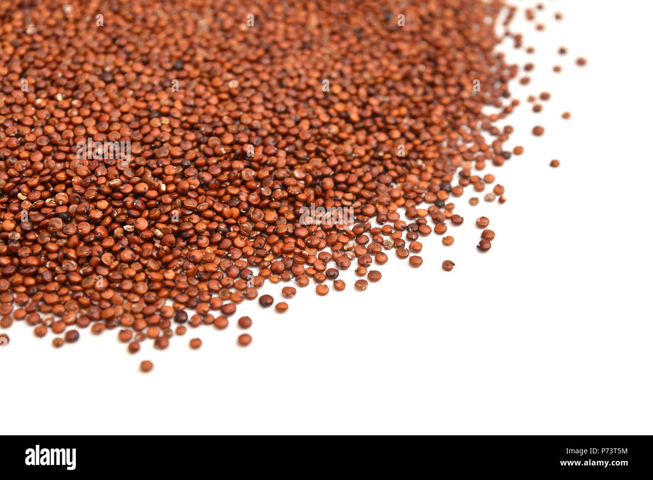 La quinoa grani su sfondo bianco Foto Stock