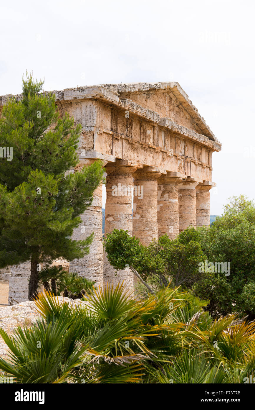 Italia Sicilia antica Segesta elima & Ionian greco tempio dorico costruito V secolo A.C. 420s BC non ha mai finito di alberi Foto Stock