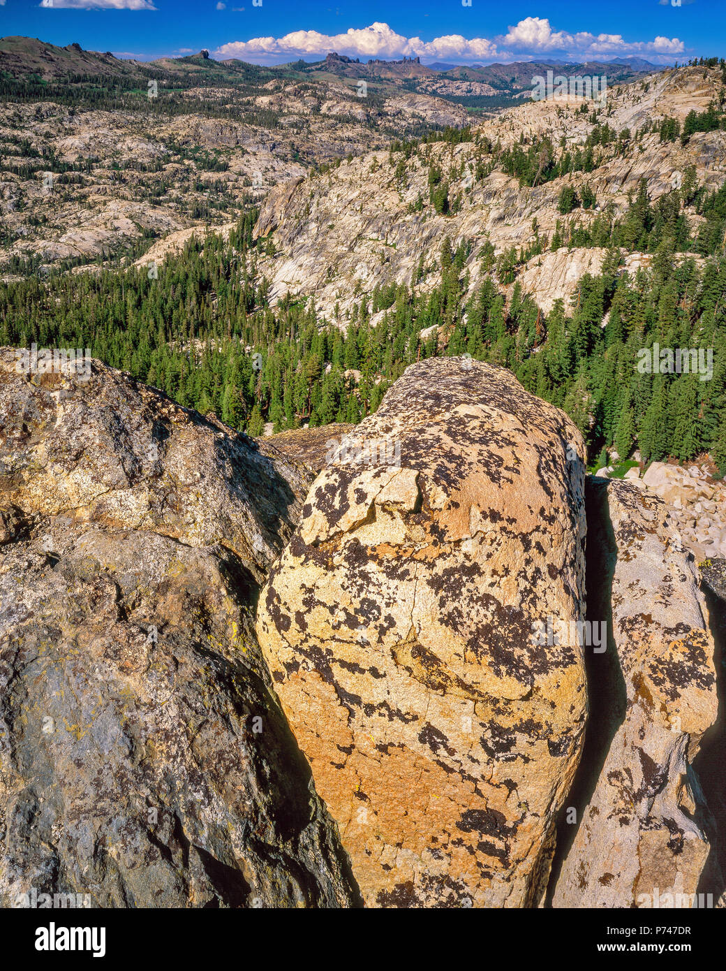 Affioramento di granito, emigrante deserto, Stanislaus National Forest, Sierra Nevada, in California Foto Stock
