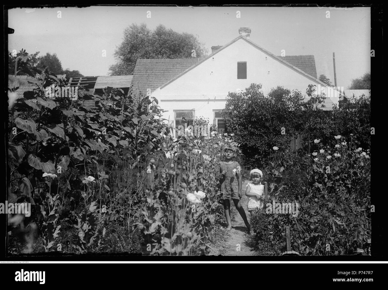 60 Narcyz Witczak-Witaczyński - Kobiety i dzieci w ogrodzie - portrety (107-453-1) Foto Stock