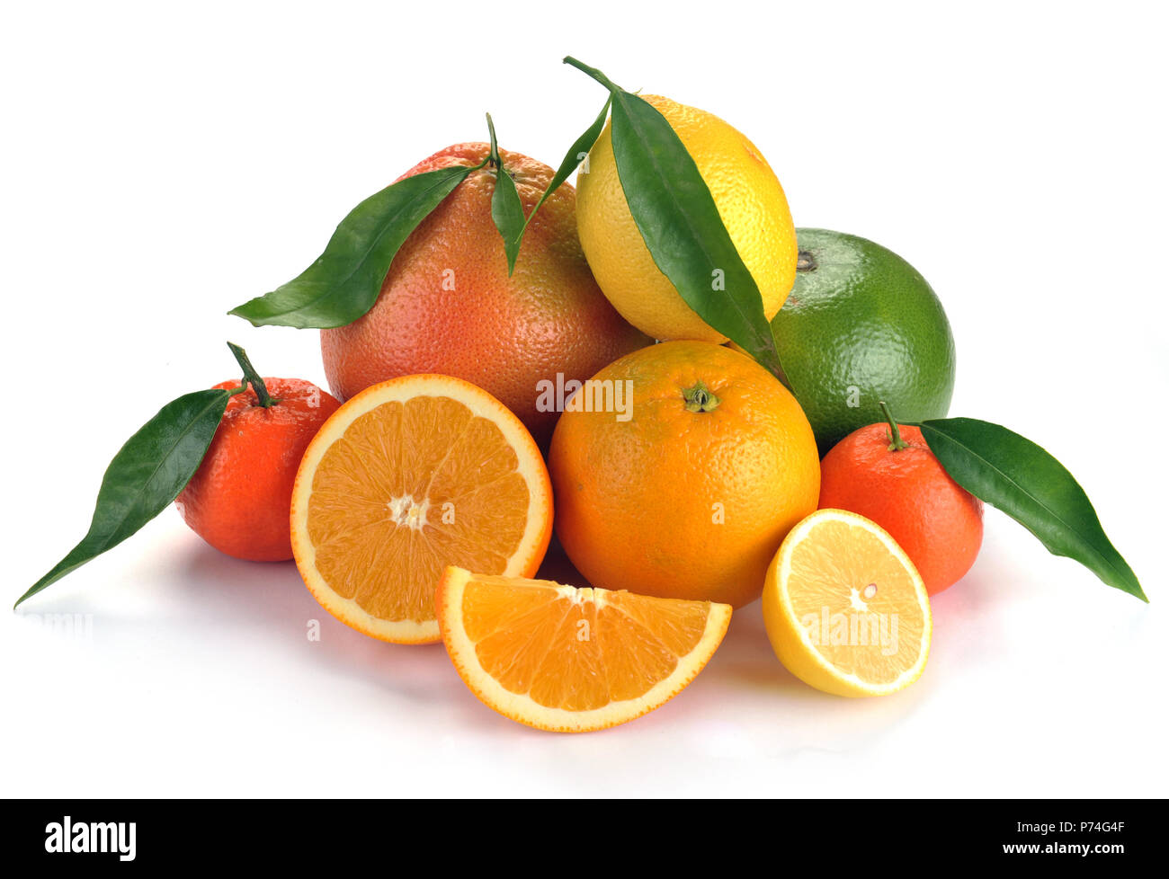 Set di agrumi con foglie su sfondo bianco Foto Stock