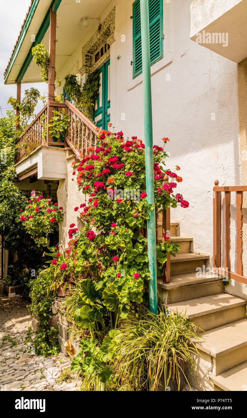 Una vista del villaggio tradizionale Lania in Cipro Foto Stock