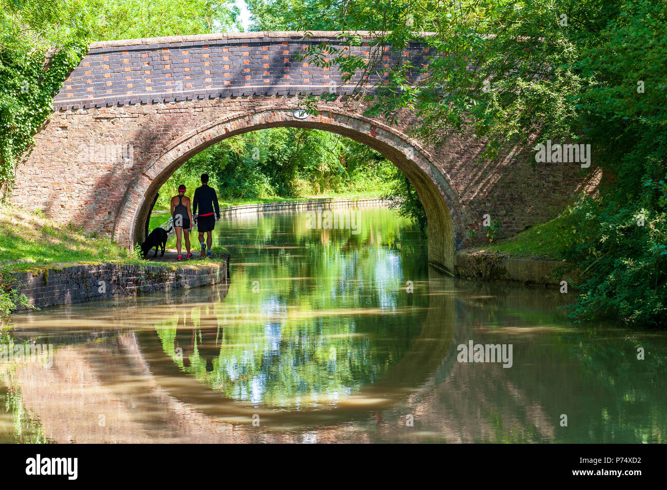 Due escursionisti e il loro cane a piedi la strada alzaia sotto un ponte accanto al Grand Union Canal vicino a cricchetto, Inghilterra in estate Foto Stock