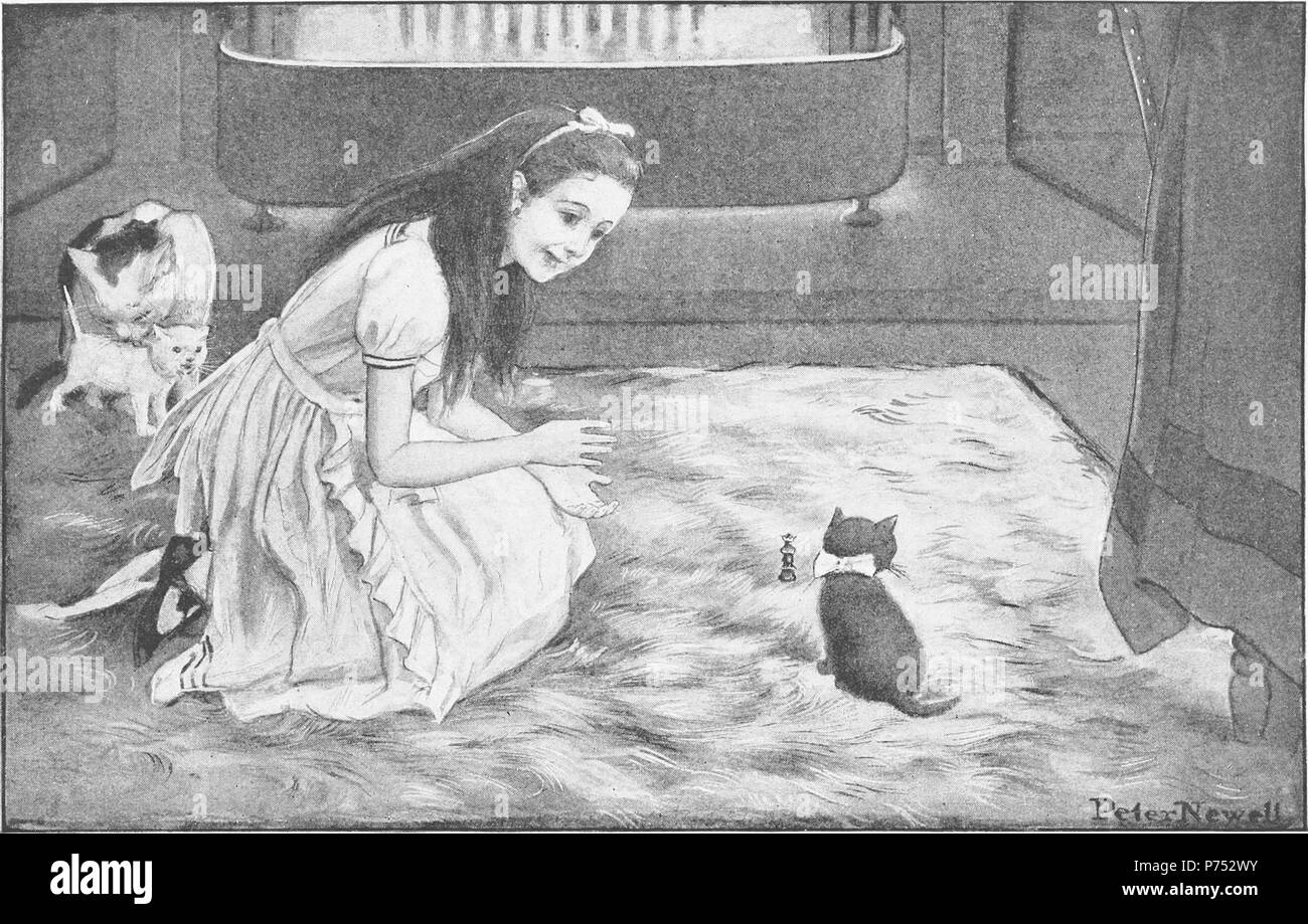Inglese: ''Adesso, Kitty!" ha gridato, battendo le mani trionfalmente'. Illustrazione di Peter Newell a 'attraverso il Looking-Glass e quello che Alice vi trovarono', capitolo "che sognava" . 1902 178 Peter Newell - attraverso lo specchio e quello che Alice vi trovarono 1902 - pagina 208 Foto Stock