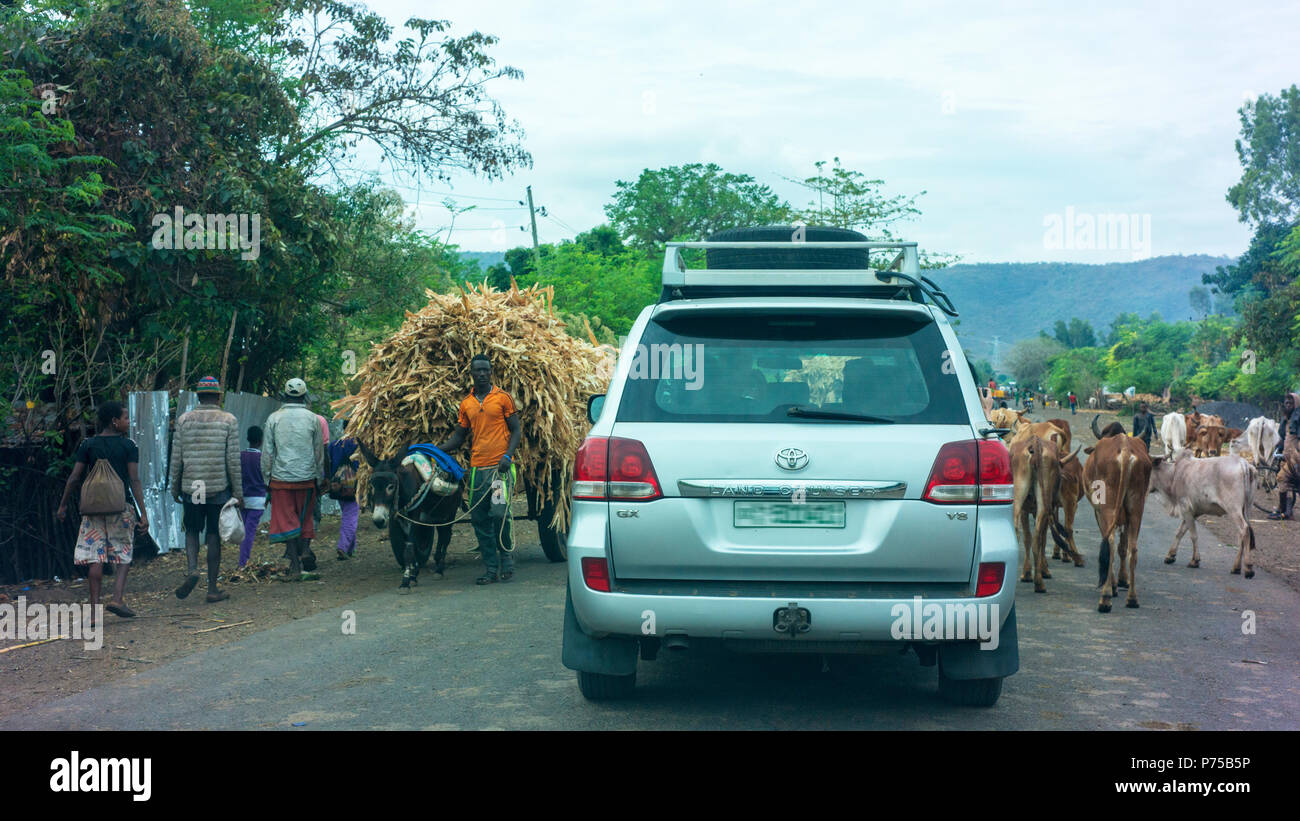 Un veicolo si snoda attraverso farm locale del traffico in remoto di sud ovest dell Etiopia. Foto Stock