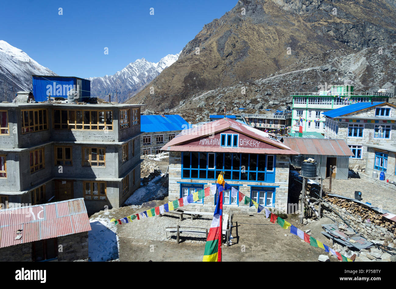 L'Himalayan panificio Kyanjin Gompa village, Langtang Valley, Nepal Foto Stock