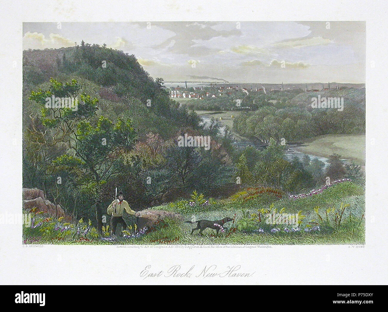 . Oriente Rock, New Haven . Inglese: piastra da "pittoresco America', East Rock, New Haven . 1872 17 pittoresco America44 Foto Stock
