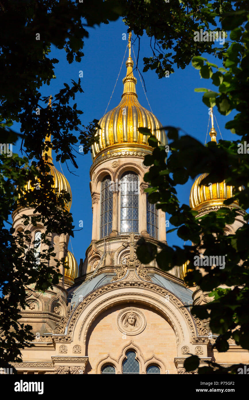 Le cupole dorate della chiesa ortodossa russa di Santa Elisabetta a Wiesbaden, vista attraverso il fogliame. Foto Stock