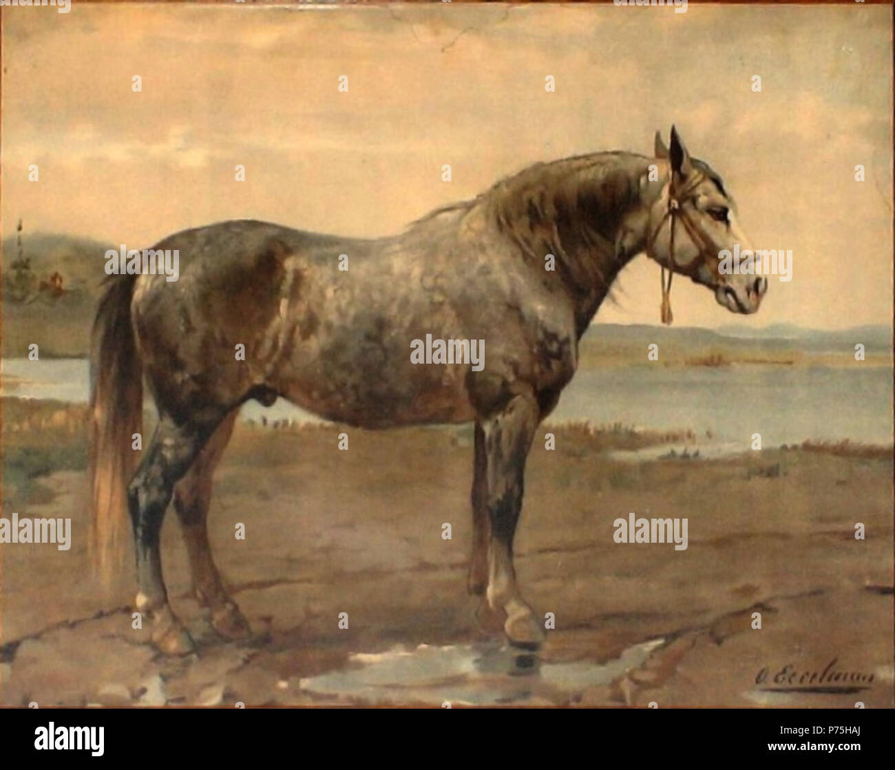 Progetto russo . 1898 140 HetRussischeWerkpaard Foto Stock