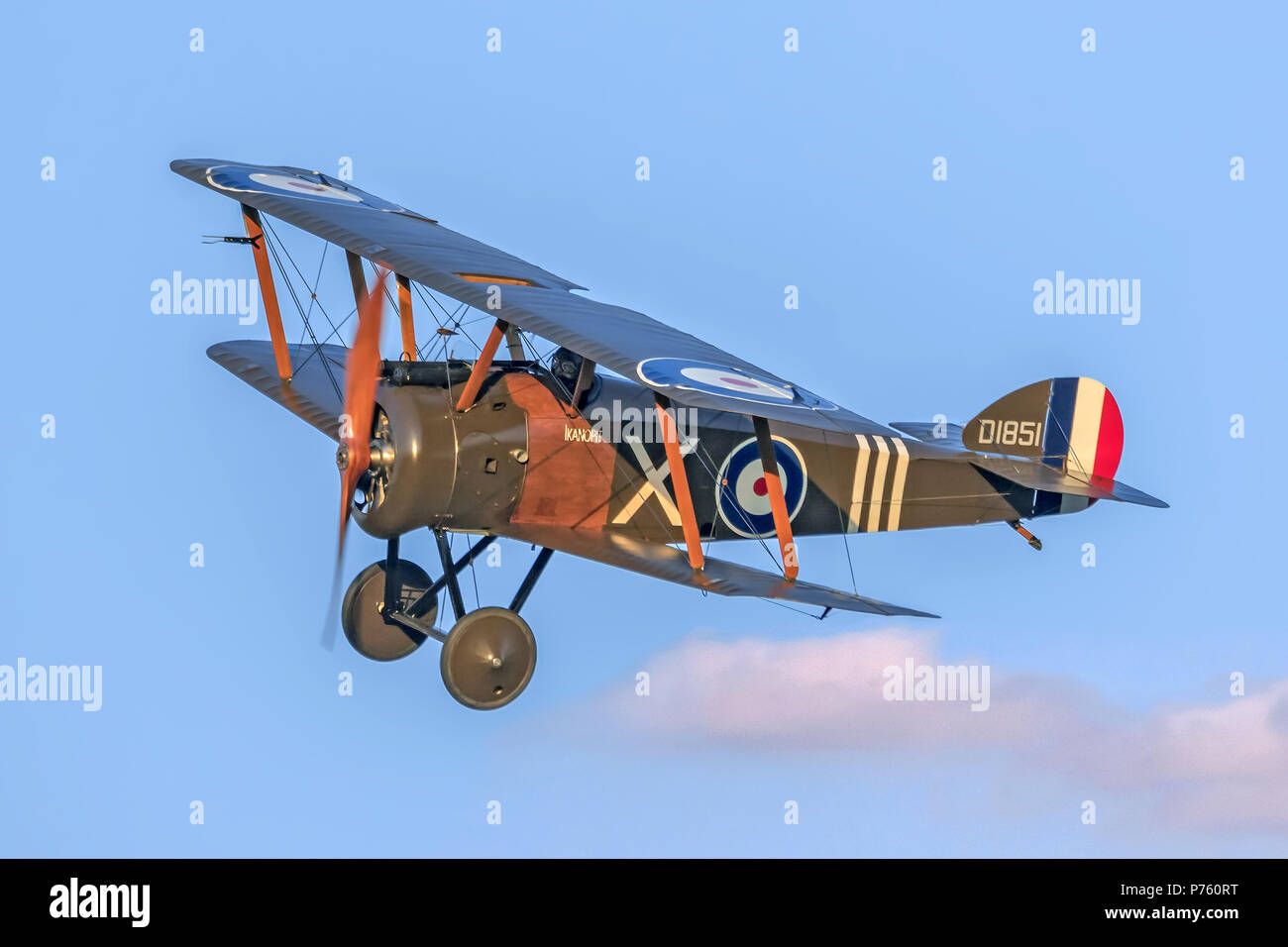 Costruito dalla Northern aereo laboratori da 1995-2016 riproduzione WW1 Sopwith F.1 Camel D1851/G-BZSC è di proprietà e gestito da Shuttleworth col Foto Stock