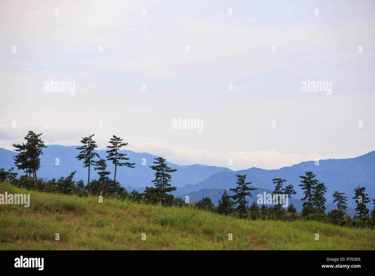 La linea di alberi contro uno sfondo montagnoso sulla giornata di sole in Tottori, Giappone Foto Stock