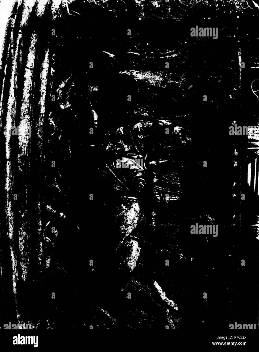 204 S03 06 01 001 163 di immagine Foto Stock