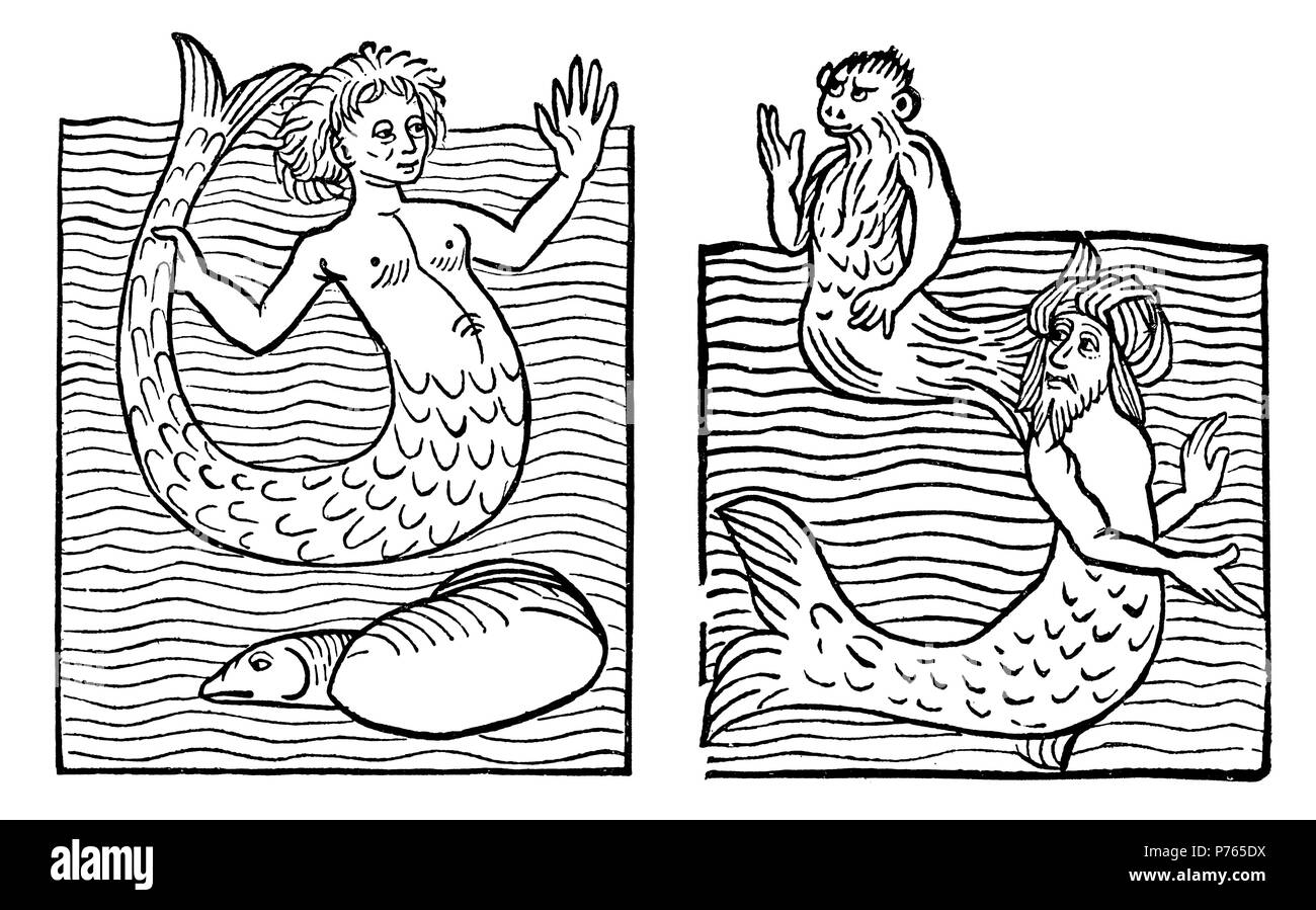 Mermaid, scimmia di mare e il mare Turk. Dopo il 'Hortus Sanitatis' del 1491, 1902 Foto Stock