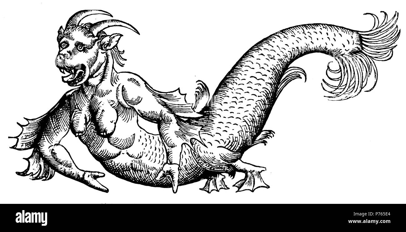 Mare diavolo, presumibilmente catturati nel Mare Adriatico all'inizio del XV secolo. Dopo Conrad Gesner 'Fischbuch' 1598, 1902 Foto Stock