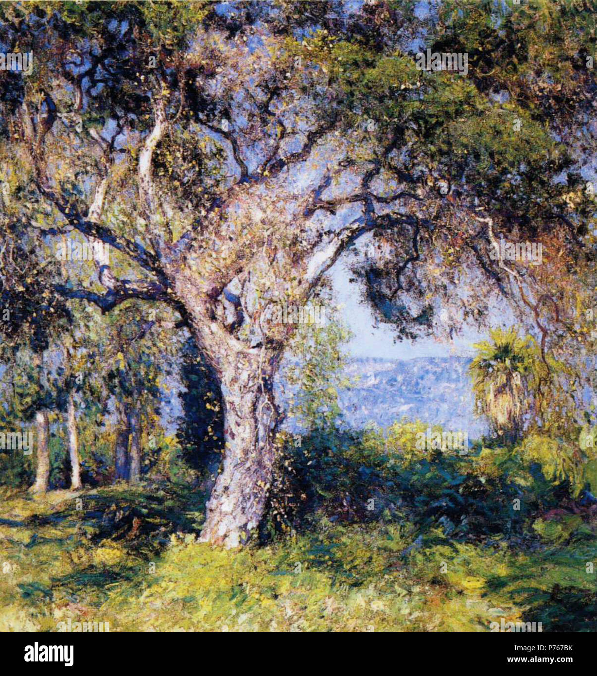 Inglese: scansione di pittura, olio su tela, 30 x 28 . 1916 134 Guy Rose - La Quercia Foto Stock