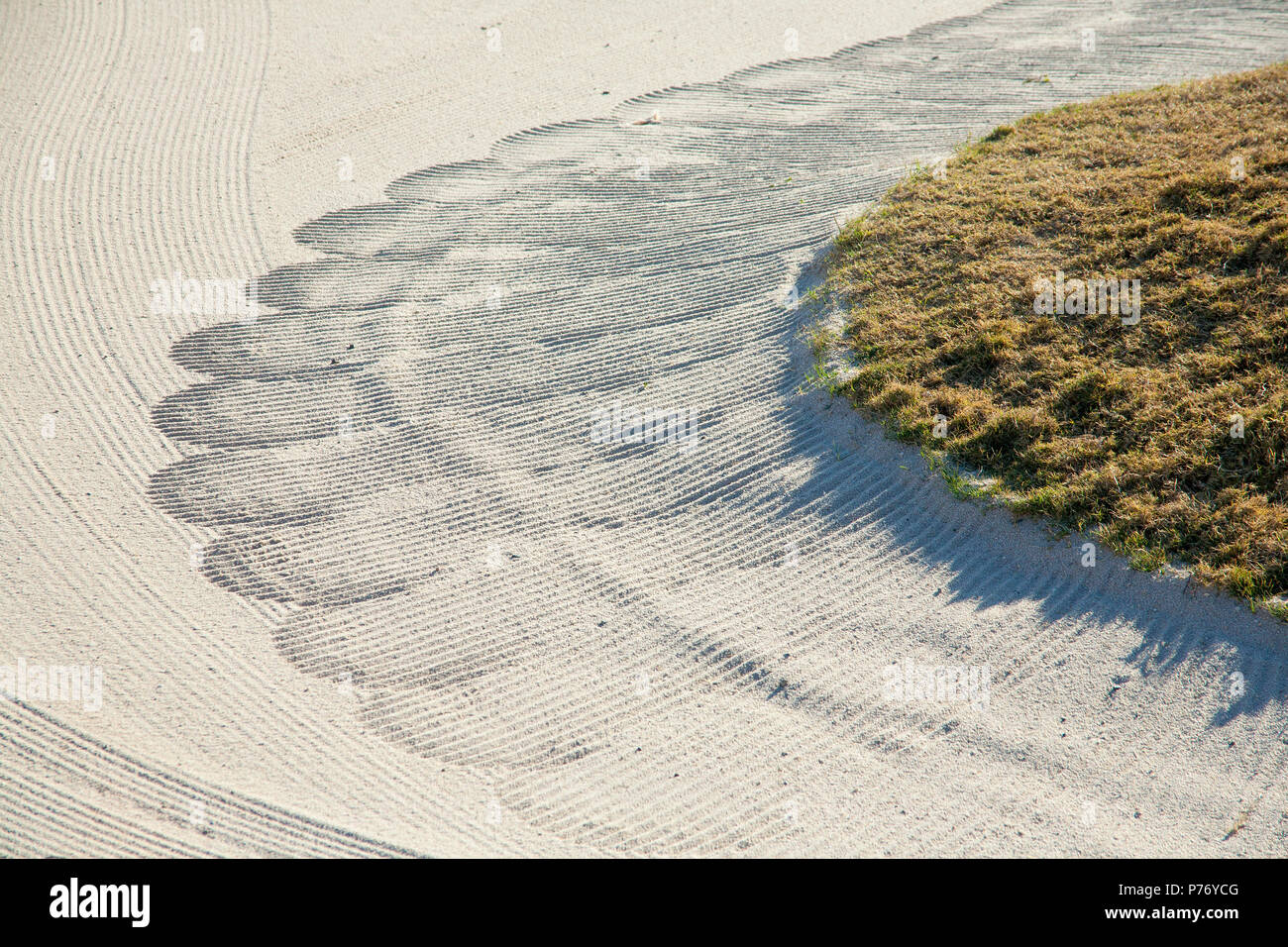 Close up di rastrellamento di modelli di sabbia nel bunker di golf - macchina rastrellata trappole di sabbia. Foto Stock