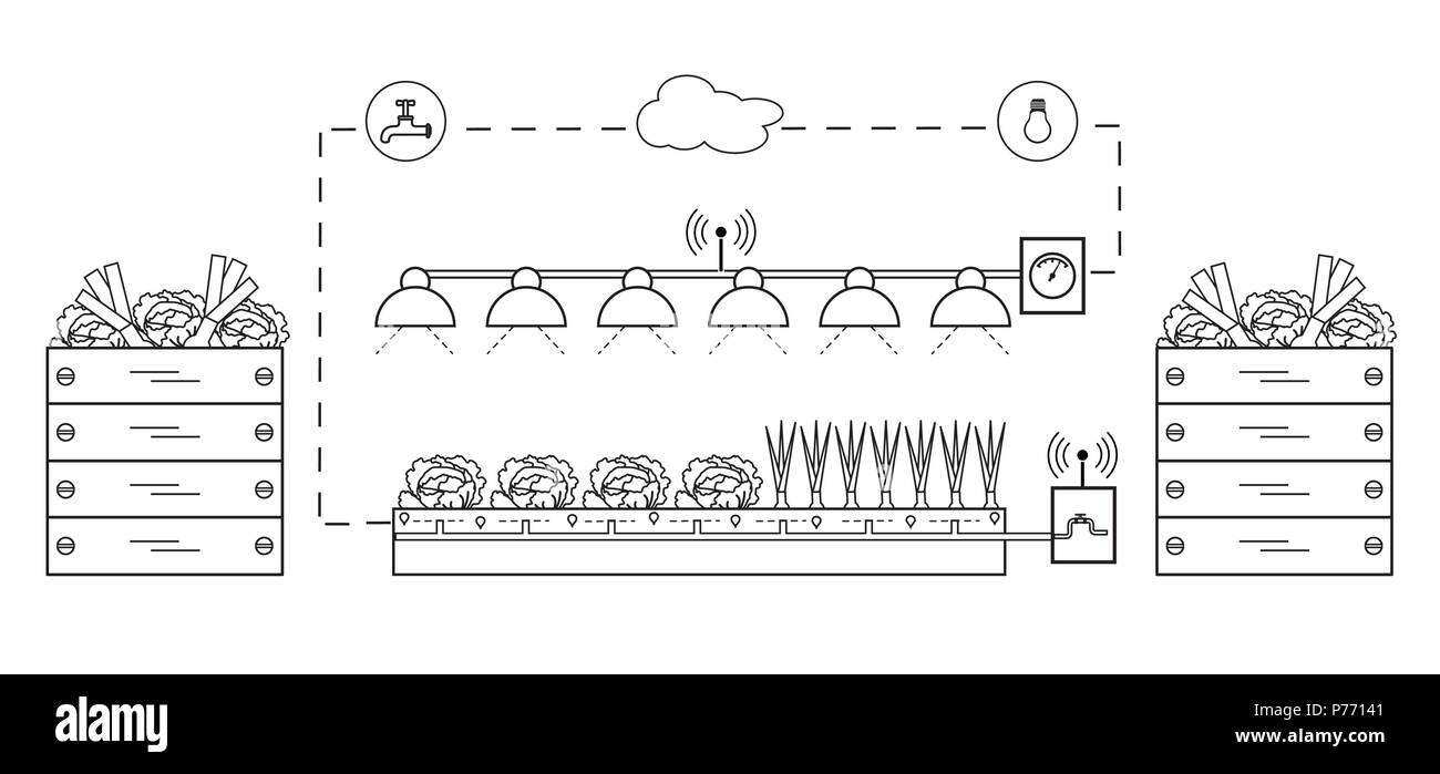 Smart farm e agricoltura. Il monitoraggio e il controllo della temperatura, umidità, luce livello. La coltivazione di piante. Le nuove tecnologie. Resa elevata. Illustrazione Vettoriale